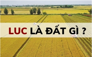 dat luc la gi