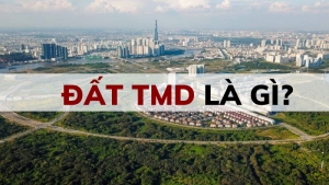 dat tmd la gi