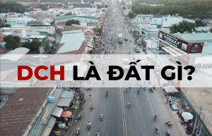 dch la dat gi
