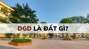 dgd la dat gi