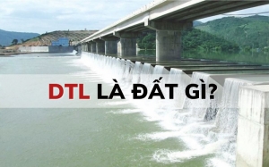 dtl la dat gi