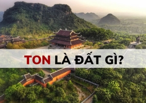 ton la dat gi
