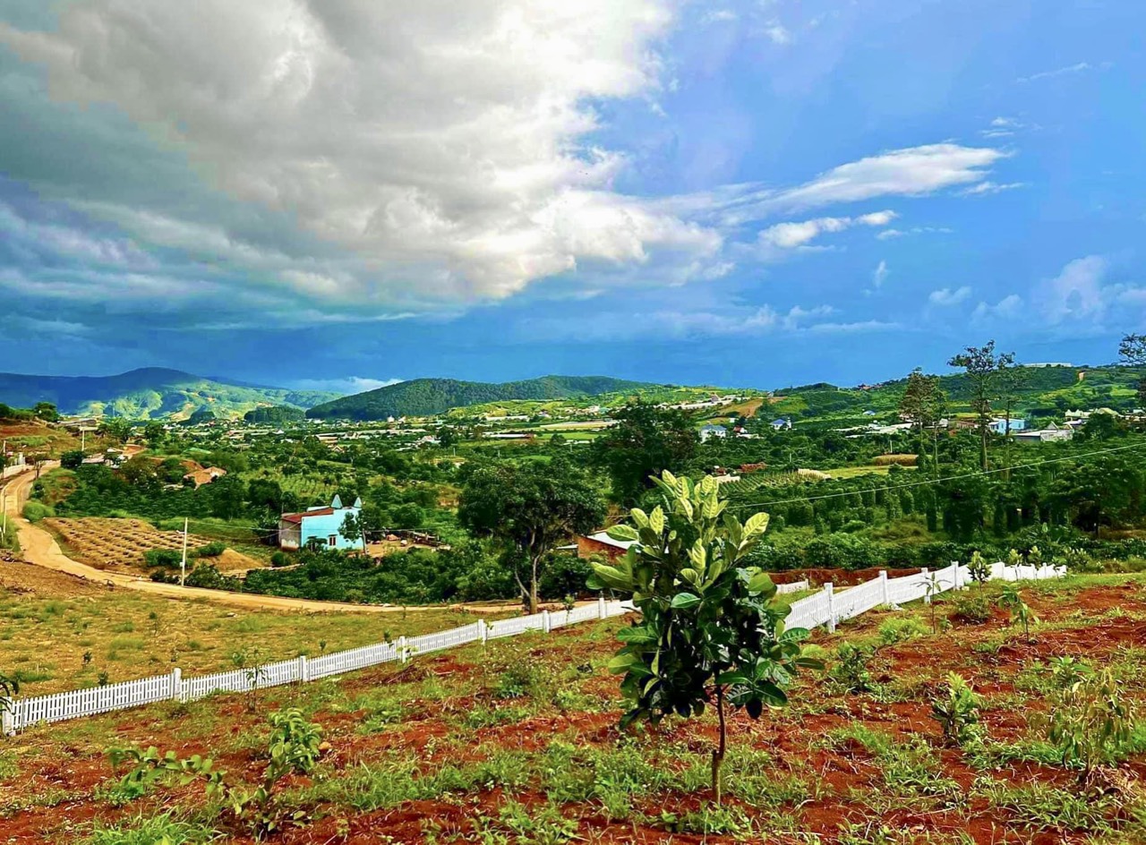 Đất nền Lâm Hà