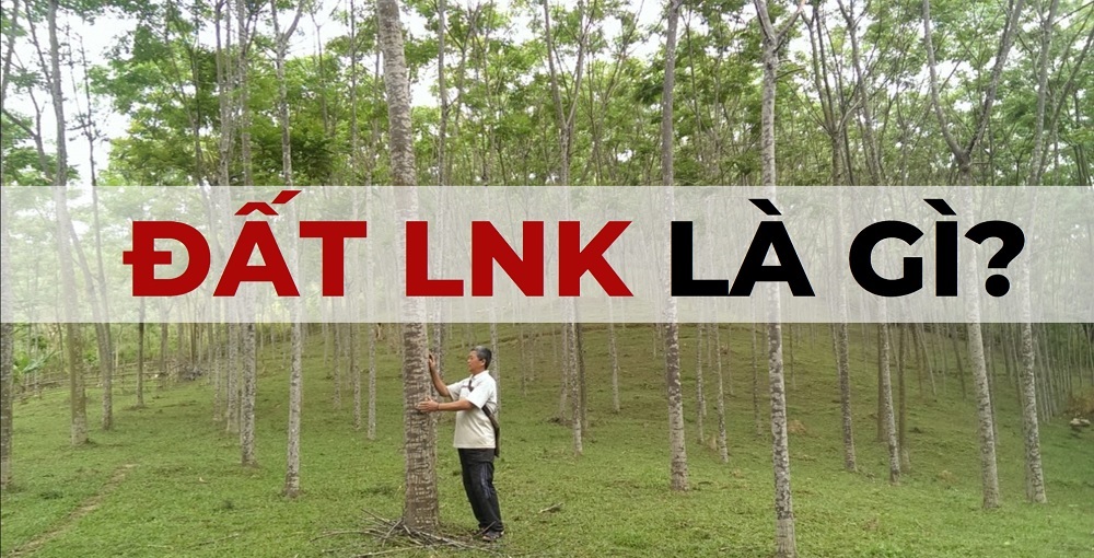 Đất LNK là đất trồng cây lâu năm khác thuộc nhóm đất nông nghiệp