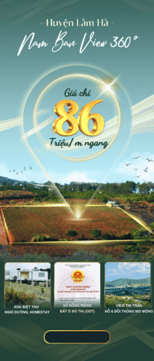 Nam Ban 15