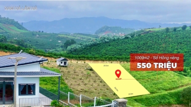 [Cực sốc] Chỉ 550 triệu, diện tích hơn 1.000m2 xã Nam Hà  