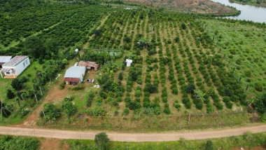 Đăk Glong - đất vườn view đẹp thơ mộng     