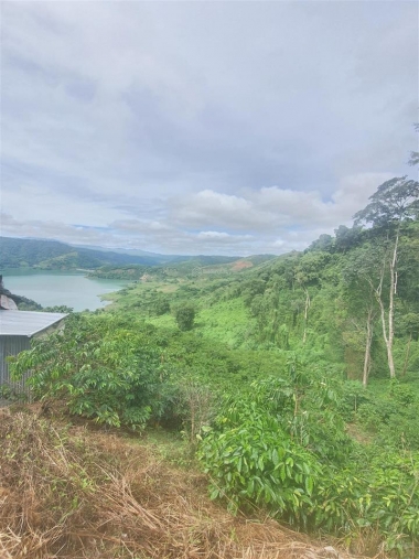 Bán rẻ lô đất 1.5 hecta view hồ tà đùng, có thác trong ...