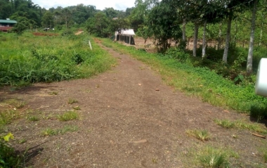Bán 1547m2 hồ giữa lòng thành phố Gia Nghĩa phường Nghĩa Tân  