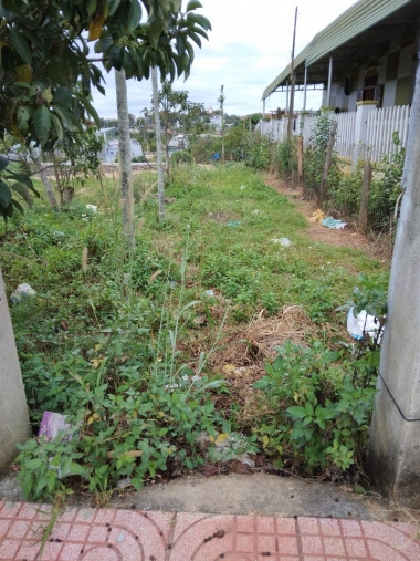 Cần bán lô đất 180m2 tại Thị trấn Đắk Mâm    