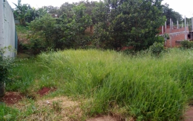 Bán đất cực rẻ, sát cây xăng tại khu tái định cư Đắk ...