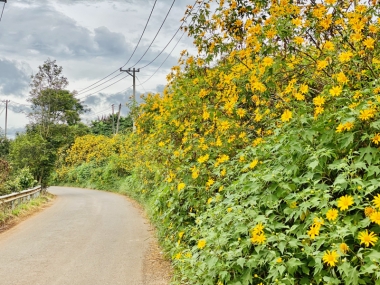 2 2ha dat mat tien duong nhua