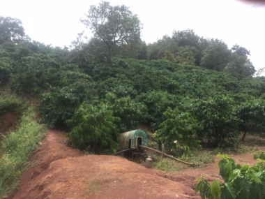 Bán 2,4 ha rẫy tại xã Đạo Nghĩa      