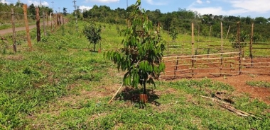 Đất 180m mặt tiền đường nhựa, chính chủ      