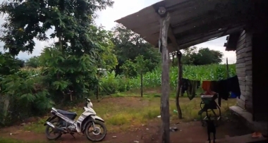 Bán gấp 2,7 ha đất đẹp thôn 5 xã Cư Knia   