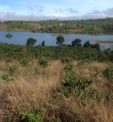 CẦN BÁN 2,8ha ĐẤT VIEW HỒ TẠI THÔN 4 – ĐẮK R’MĂNG  