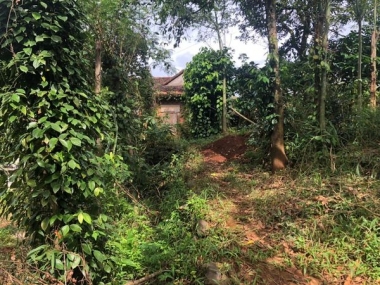 BÁN RẪY ĐĂK HA CHÍNH CHỦ        