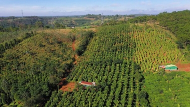 Rẫy đẹp giá rẻ ở xã Nâm NJang      