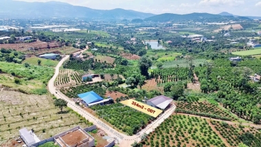 Quá rẻ, gần 400m2 đất ở đô thị chỉ 1,05 tỷ   