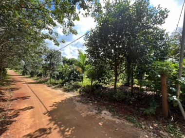 CẦN BÁN ĐẤT VƯỜN 3,8 ha tại xã Đắk RTíh    