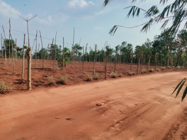 Bán đất 53958m2 tại xã Nâm NJang       