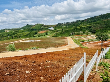 Bán lô góc 2 mặt tiền, nhìn trực diện Homestay    