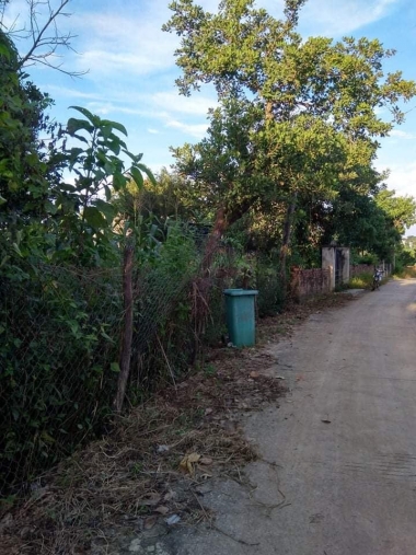 bán lô đất chính chủ tại thôn 12 xã tâm thắng   