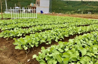 Bán 2 lô góc đất thổ cư 2 mặt tiền đường nhựa, trung ...