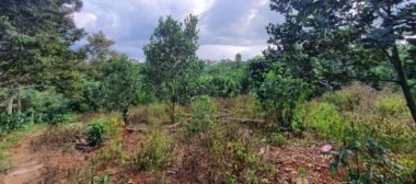 ban lo dat loc ngai   bao lam   lam dong