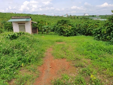Cần tiền thanh toán cho ngân hàng cuối năm bán lô đất view ...
